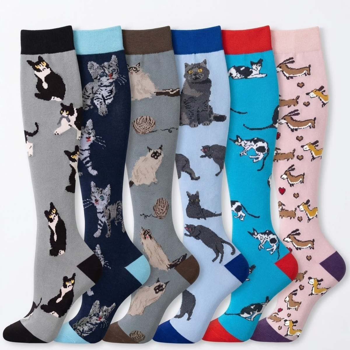 Animal Bundle Pack